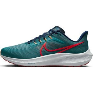 Běžecké boty Nike Air Zoom Pegasus 39 (Extra Wide)