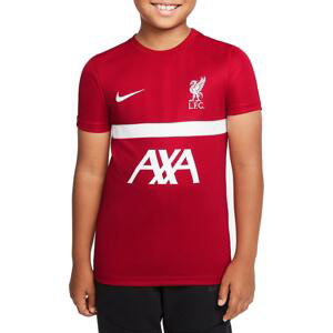 Triko Nike Liverpool FC Academy Pro Big Kids  Dri-FIT Short-Sleeve Soccer Top