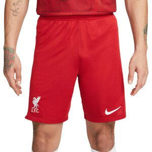 Šortky Nike LFC M NK DF STAD SHORT HM 2023/24