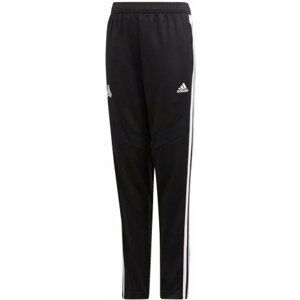 Kalhoty adidas TAN TR PANT Y