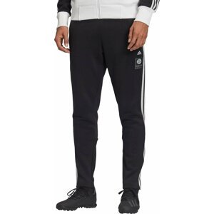 Kalhoty adidas DFB ICONS PNT