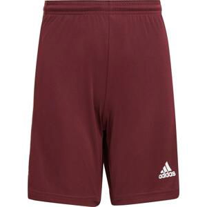 Šortky adidas SQUAD 21 SHORTS Y