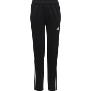 Kalhoty adidas CON22 TR PNT Y