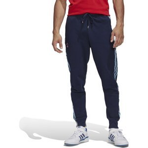Kalhoty adidas AFC LS HC PNT