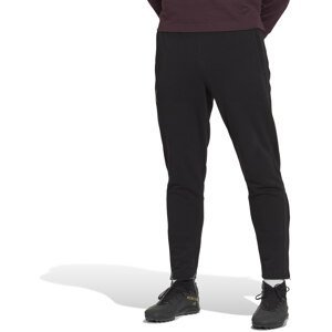 Kalhoty adidas DFB LS PNT