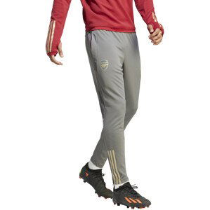Kalhoty adidas AFC TR PNT