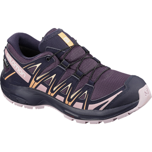 Trailové boty Salomon XA PRO 3D CSWP J