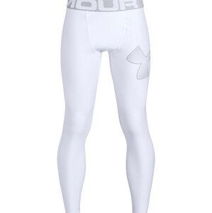 Legíny Under Armour B UA HeatGear Legging