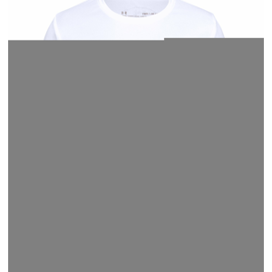 Triko s dlouhým rukávem Under Armour Tech Graphic Big Logo LS T-Shirt