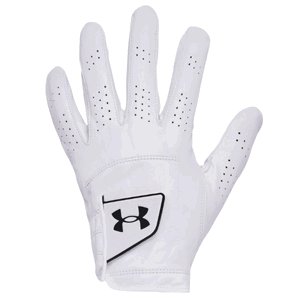 Rukavice Under Armour Spieth Tour Glove