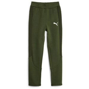 Kalhoty Puma EVOSTRIPE Pants DK B