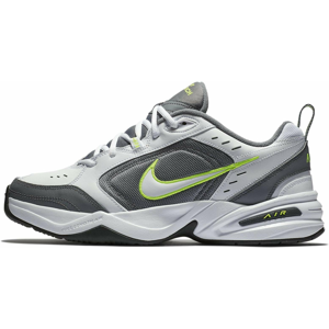 Fitness boty Nike AIR MONARCH IV