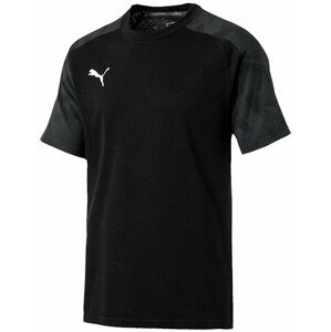 Triko Puma CUP Sideline Tee  Black-Asphalt