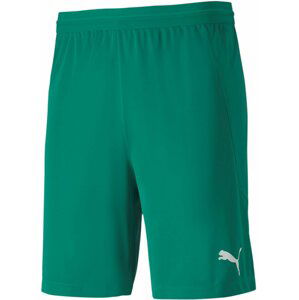 Šortky Puma teamFINAL 21 knit Shorts