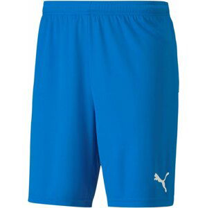 Šortky Puma teamGOAL 23 knit Shorts jr