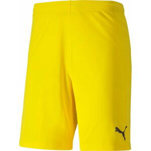 Šortky Puma teamGOAL 23 knit Shorts jr