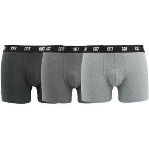 Boxerky CR7 Basic Boxershort 3P