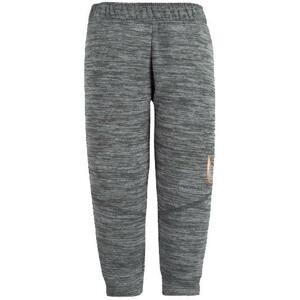 Kalhoty Nike  Therma Trousers Kids Grey