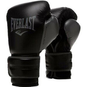 Fitness rukavice Everlast POWERLOCK 2 TRG GLOVES 10