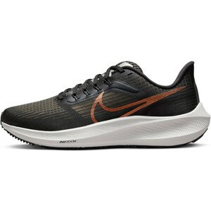 Běžecké boty Nike Air Zoom Pegasus 39