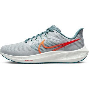 Běžecké boty Nike Air Zoom Pegasus 39 (Extra Wide)