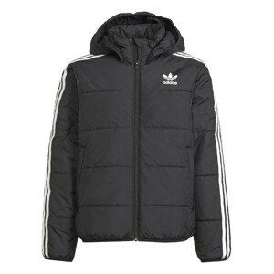 Bunda s kapucí adidas Originals PADDED JACKET