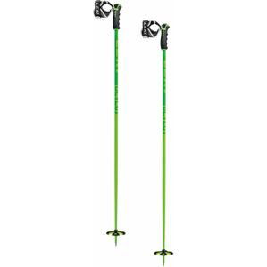 Leki Detect S - yellowgreen/woodgreen/white 110