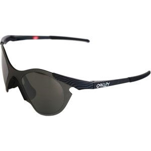 Oakley Subzero-steel/Prizm Black uni