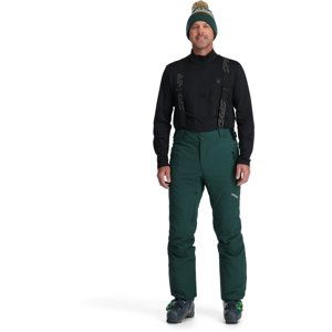 Spyder M Bormio GTX Pants - cypress green L