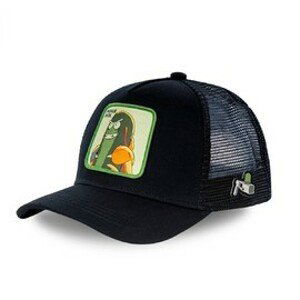 Casquette capslab rick et morty