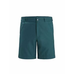 ICEBREAKER Mens Hike Shorts, Green Glory velikost: 32