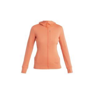 ICEBREAKER Wmns Merino 260 Quantum IV LS Zip Hoodie, Tang velikost: S