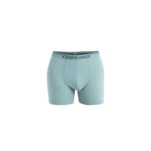 ICEBREAKER Mens Anatomica Boxers, Cloud Ray (vzorek) velikost: M