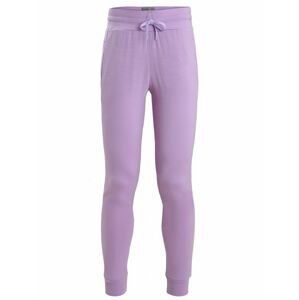 ICEBREAKER Wmns Crush Pants, Purple Gaze velikost: M