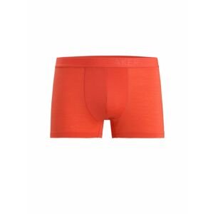 ICEBREAKER Mens Anatomica Cool-Lite™ Trunks, Vibrant Earth velikost: XL