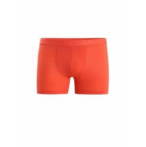 ICEBREAKER Mens Anatomica Cool-Lite™ Boxers, Vibrant Earth velikost: L