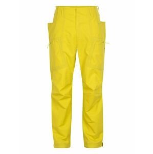 pánské merino kalhoty ICEBREAKER Mens Merino Shell+ Pants, Shine (vzorek) velikost: M