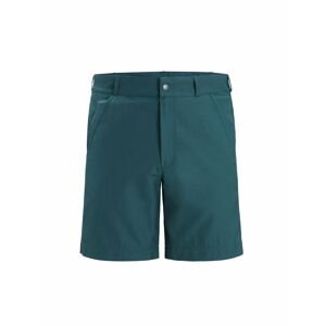 ICEBREAKER Mens Hike Shorts, Green Glory (vzorek) velikost: 32