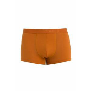 ICEBREAKER Mens Anatomica Cool-Lite Trunks, Earth (vzorek) velikost: M