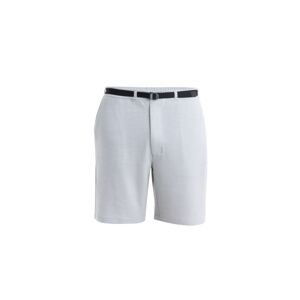 Pánské merino kraťasy ICEBREAKER Mens Merino IB X TNF Shorts, Ether velikost: 32