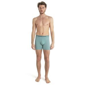 Pánské merino boxerky ICEBREAKER Mens Anatomica Boxers, Cloud Ray velikost: M