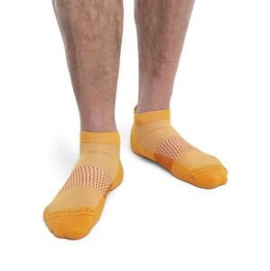 Pánské merino ponožky ICEBREAKER Mens Multisport Light Micro, Solar/Earth velikost: 44,5-46,5 (L)