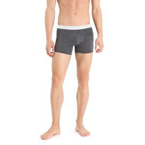 Pánské boxerky ICEBREAKER Mens Anatomica Cool-Lite™ Boxers, Monsoon Heather velikost: L