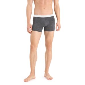 Pánské boxerky ICEBREAKER Mens Anatomica Cool-Lite™ Boxers, Monsoon Heather velikost: XXL