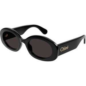 Chloe CH0258S 001 - ONE SIZE (53)