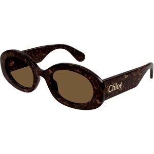 Chloe CH0258S 002 - ONE SIZE (53)