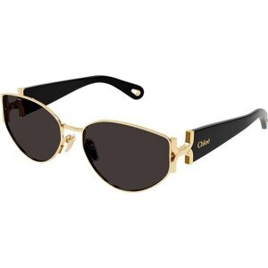 Chloe CH0260S 001 - ONE SIZE (59)