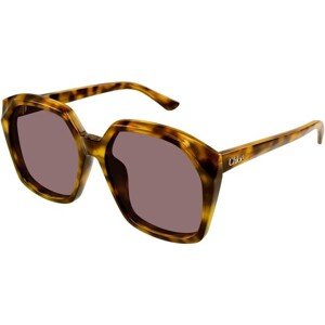 Chloe CH0280S 004 - ONE SIZE (57)