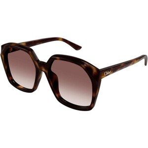 Chloe CH0280S 006 - ONE SIZE (57)