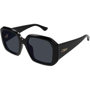 Chloe CH0300S 001 - ONE SIZE (54)